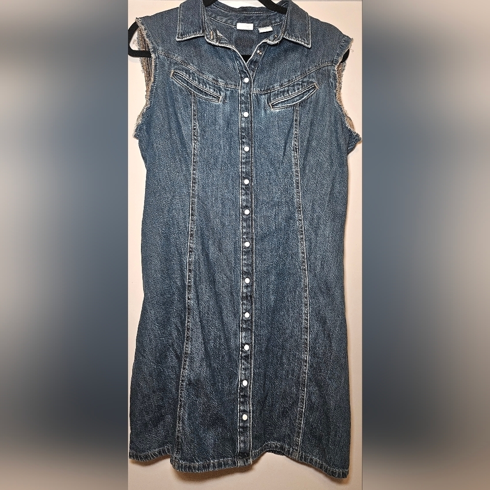 Levi Blue Denim Button-Down Dress